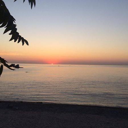 Сдам Комнату В Гостевом Домике Odessa Esterno foto